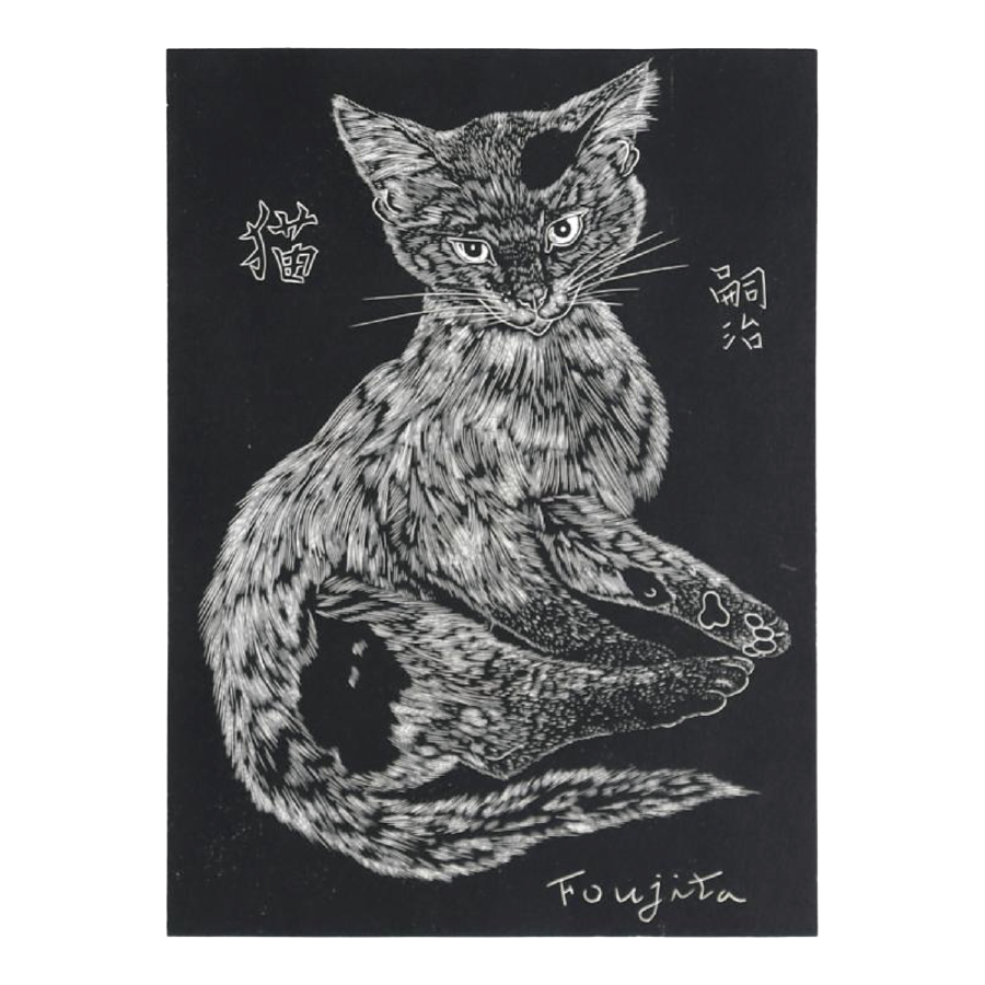 黒い背景の猫